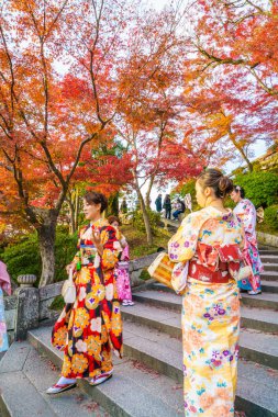Kyoto, Japonya-ö. 2 Aralık: bir kimono giyen güzel genç kadın