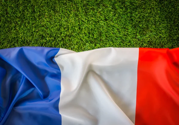 Прапори Франції на зеленій траві . — стокове фото