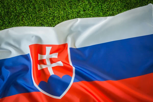 Flags of  Slovakia on green grass . — Stock Photo, Image