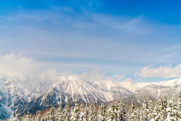 Japón Montaña de invierno con nieve cubierta — Foto de Stock