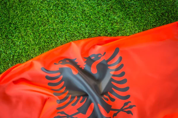 Σημαίες της Αλβανίας για την πράσινη χλόη . — Φωτογραφία Αρχείου