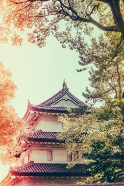 Tokyo, Japonya (Filtered pro görüntü güzel İmparatorluk Sarayı