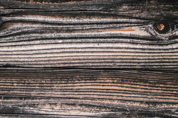 Изображение фона текстуры дерева — стоковое фото