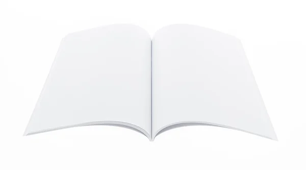 카탈로그, 브로셔, 잡지 비워 둡니다, 그리고 백색 backgrou에 모의 책 — 스톡 사진