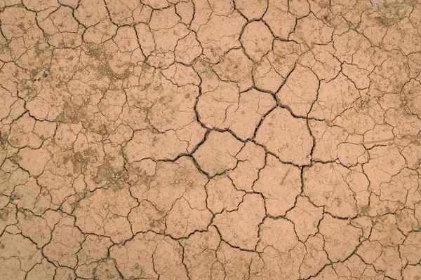 Textura del suelo seca y agrietada  . — Foto de Stock