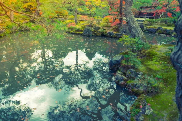 Herbst Wald mit Fluss (gefiltertes Bild verarbeitet vintage effe — Stockfoto