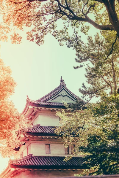 东京，日本 （筛选图像临美丽皇宫 — 图库照片