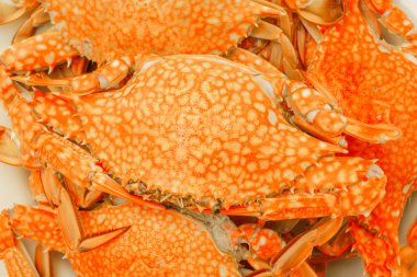 Beyaz arkaplanda haşlanmış yengeçler .