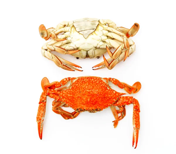 Steamed crabs on white background . — Stock Photo, Image