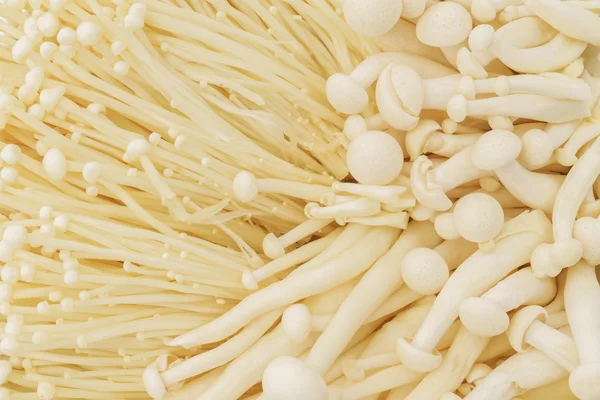 Primo piano dei funghi Enoki e dei funghi di faggio  . — Foto Stock