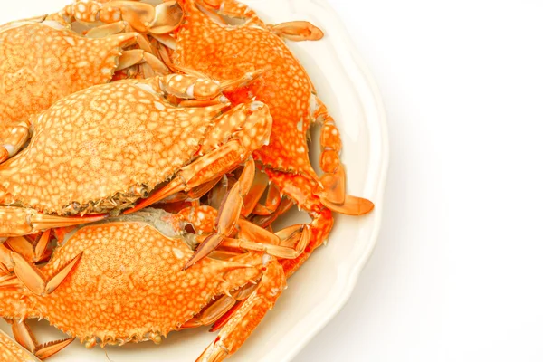 Steamed crabs on white background . — Stock Photo, Image