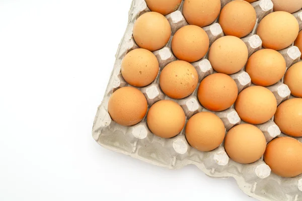 Verse eieren in verpakking op witte achtergrond . — Stockfoto