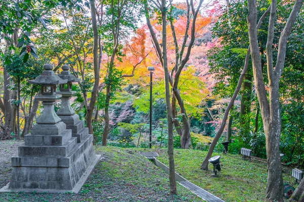 Camino en el bosque., Imágenes de alta definición —  Fotos de Stock