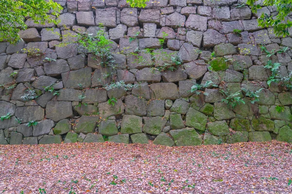 Фон текстуры каменной стены . — стоковое фото