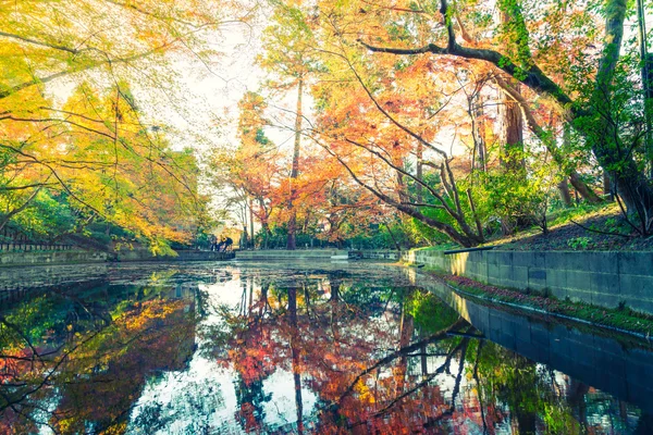 Bosque de otoño con río (Imagen filtrada procesada effe vintage — Foto de Stock