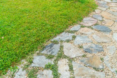 yeşil çim ile parkta yürüyüş yolu