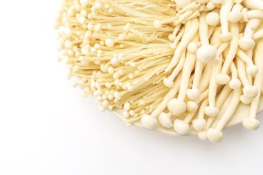 Enoki mantar ve beyaz arka plan üzerinde kayın mantar .