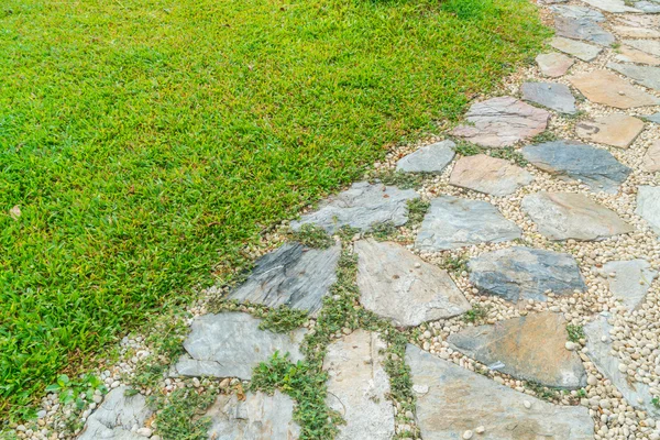 O Caminho no parque com grama verde — Fotografia de Stock