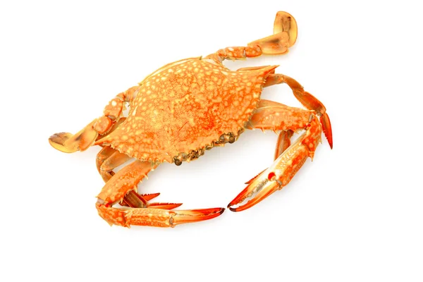 Steamed crabs on white background . — Stock Photo, Image