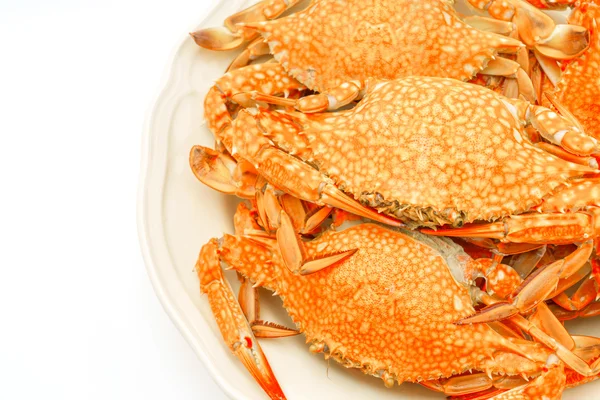 Steamed crabs on white background . — Stock Photo, Image