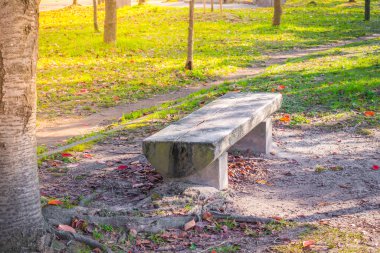 Parktaki ahşap bank. .