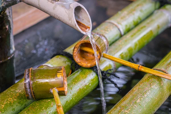 Vízzel fogy a bambusz cső . — Stock Fotó