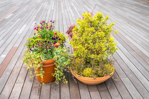 Outdoor-Anlage in einem traditionellen Holzboden . — Stockfoto