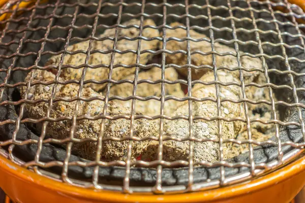 Parrilla de barbacoa caliente vacía  . — Foto de Stock