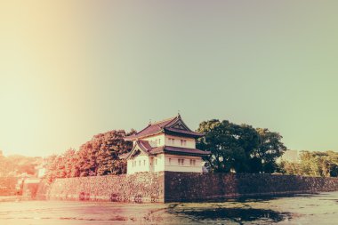 Tokyo, Japonya (Filtered pro görüntü güzel İmparatorluk Sarayı