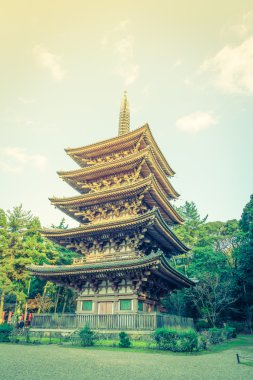 Recai-ji Tapınağı Güz, Kyoto, Japonya (filtre uygulanmış görüntü süreç