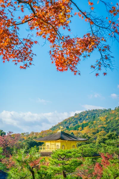 Kinkakuji Tapınağı "Altın köşk" Kyoto, Japonya — Stok fotoğraf