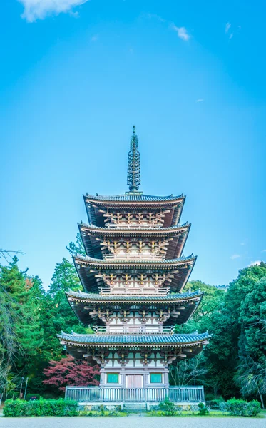 Recai-ji Tapınağı Güz, Kyoto, Japonya
