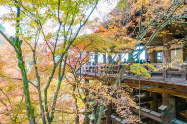 Güzel mimarisi Kiyomizu-dera Tapınağı, Kyoto, Japonya