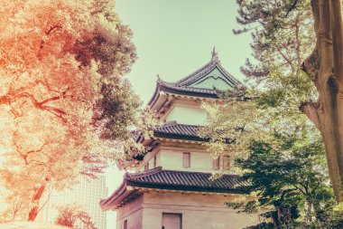 Tokyo, Japonya (Filtered pro görüntü güzel İmparatorluk Sarayı