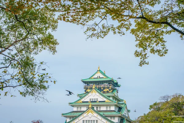 Kasteel Osaka in Osaka Japan — Stockfoto