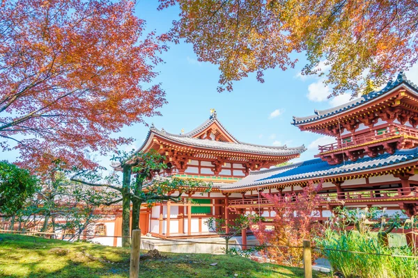 Byodo-i templet Kyoto, Japan — Stockfoto