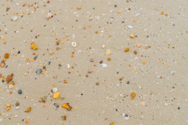 Deniz kum plaj, yüksek çözünürlüklü görüntüleri