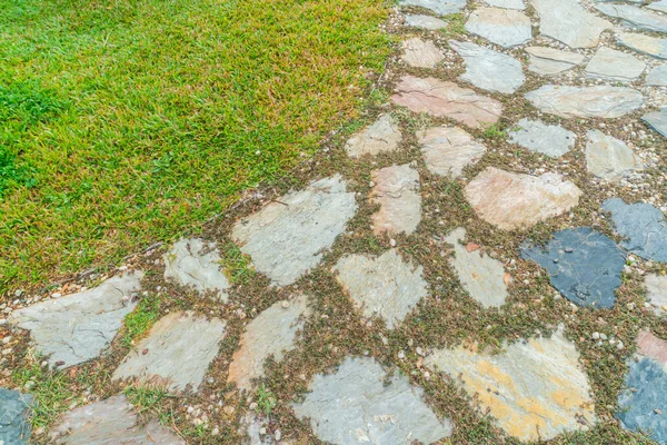El sendero del sendero en el parque con hierba verde —  Fotos de Stock