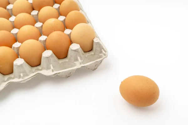 Beyaz Arkaplanda taze yumurtalar . — Stok fotoğraf