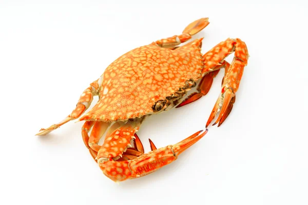 Steamed crabs on white background . — Stock Photo, Image