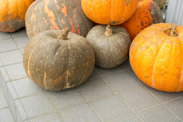 Fondo de calabaza, Imágenes de alta definición —  Fotos de Stock