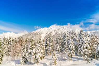 Japonya kış dağ kar ile kaplı
