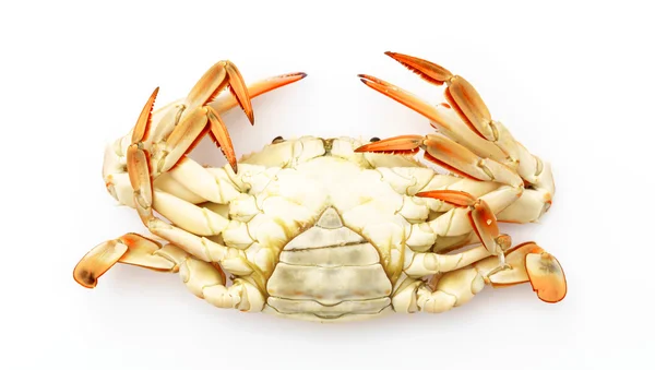 Steamed crabs on white background . — Stock Photo, Image