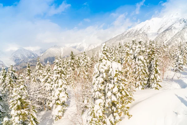 Japan Vinterberg med snöklädda — Stockfoto