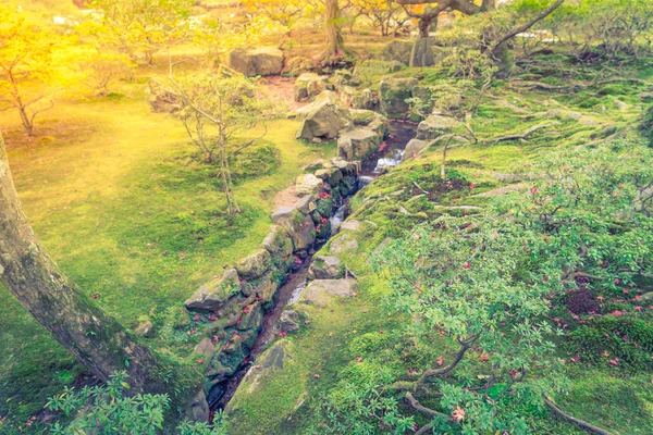 日本の緑苔庭。、フィルターされたイメージ処理ヴィンテージ e — ストック写真