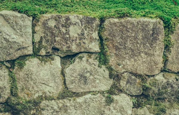 Taş duvar yeşil yosun ile. (Filtre uygulanmış görüntü işlenen vintage — Stok fotoğraf