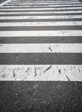 Zebra geçiş road, yüksek çözünürlüklü görüntüleri
