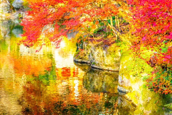 Floresta de outono com rio — Fotografia de Stock