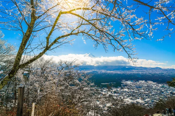 与冰涂料在树上的山富士 — 图库照片