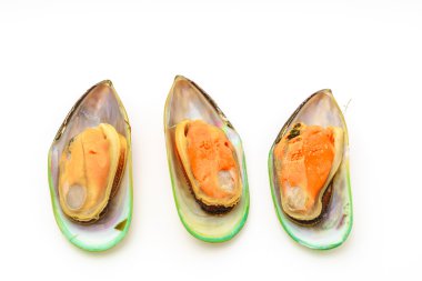 Beyaz arkaplanda taze midye .